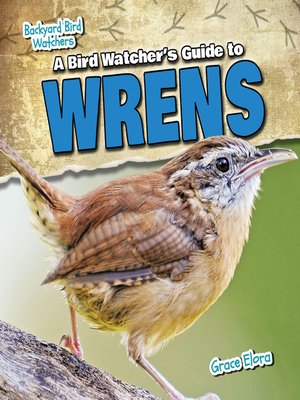 cover image of A Bird Watcher's Guide to Wrens